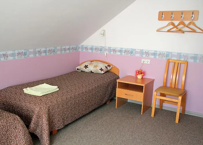 Гостевой дом Rivaal Guesthouse-cafe 3*